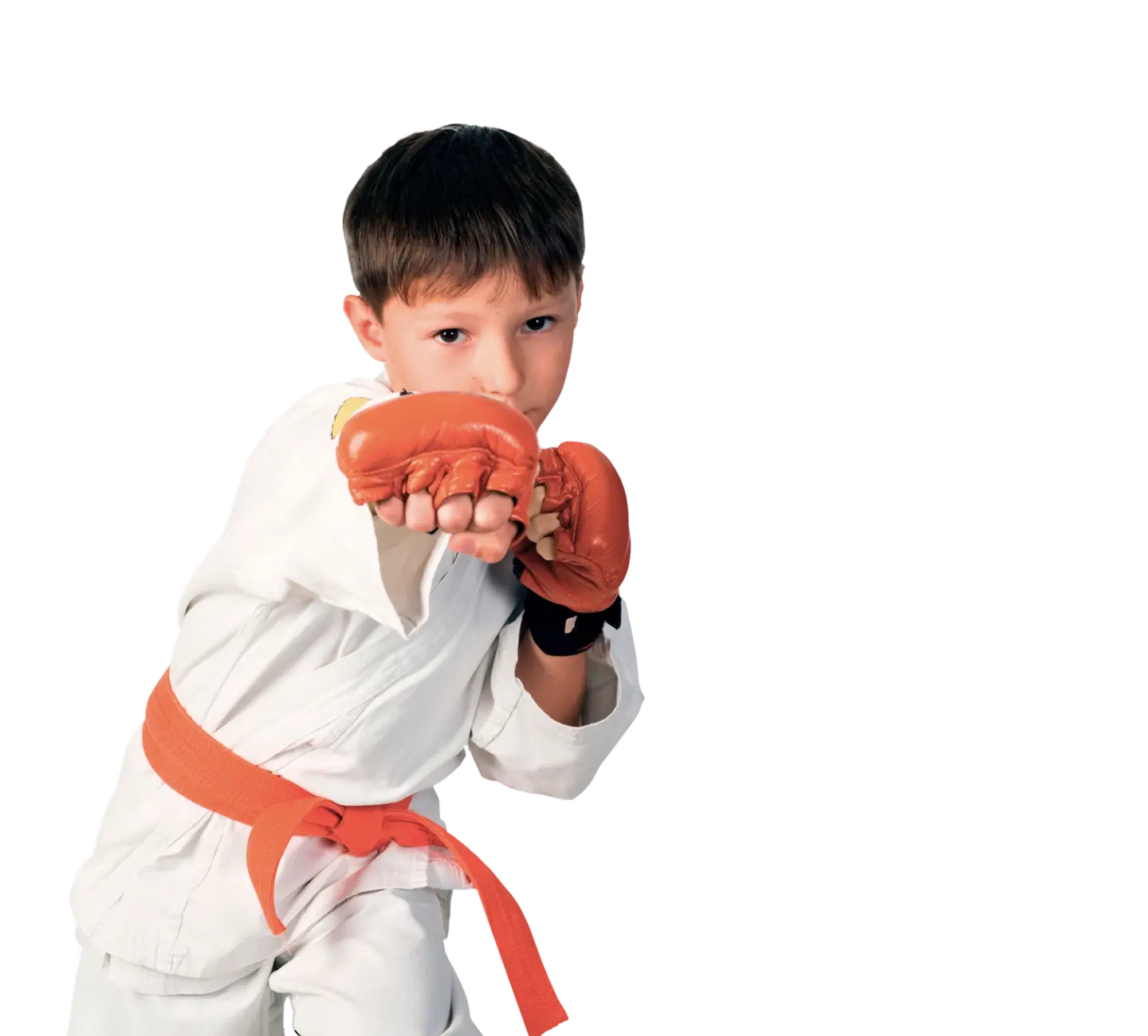 TAEKWONDO KIDZ®