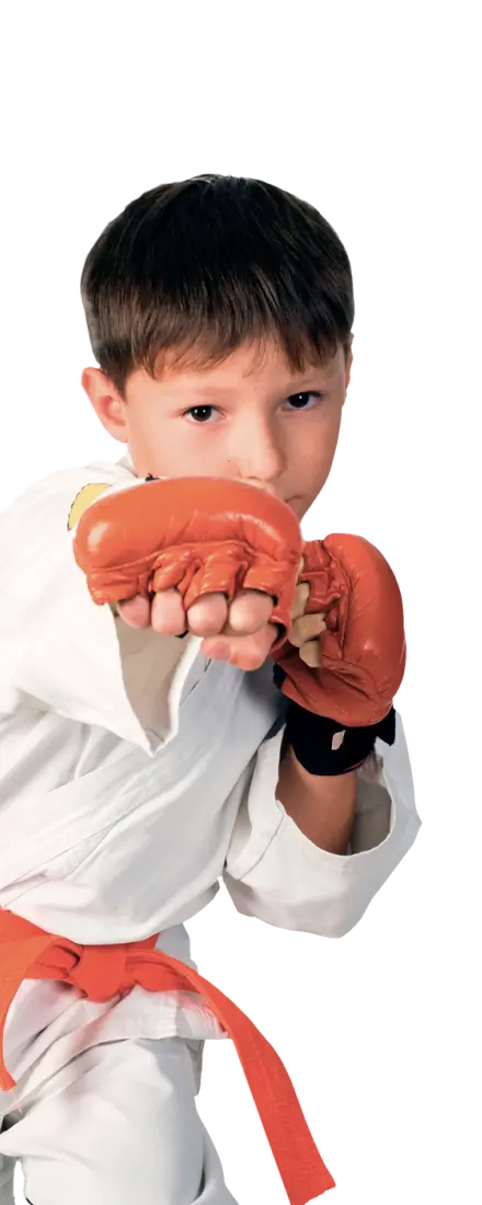 TAEKWONDO KIDZ®